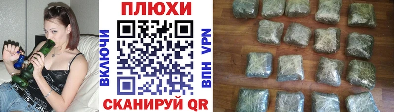 наркота Буйнакск ГАШИШ индика сатива