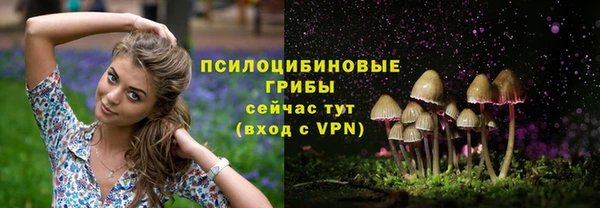 a pvp Медногорск