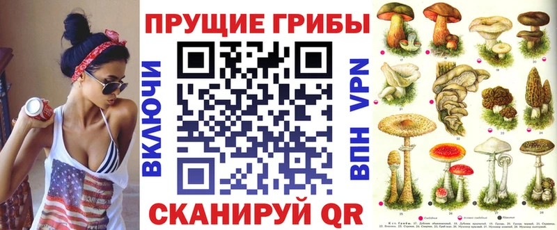 даркнет сайт  Буйнакск  Псилоцибиновые грибы Cubensis 